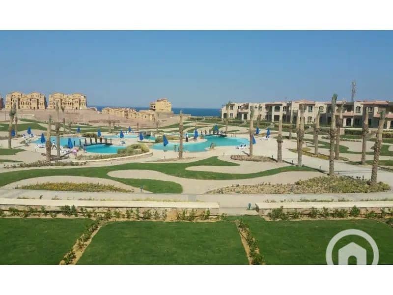 8 e887b882-7ac7-4541-bf21-f7e50f99d611 - Copy - Copy - Copy. jpg