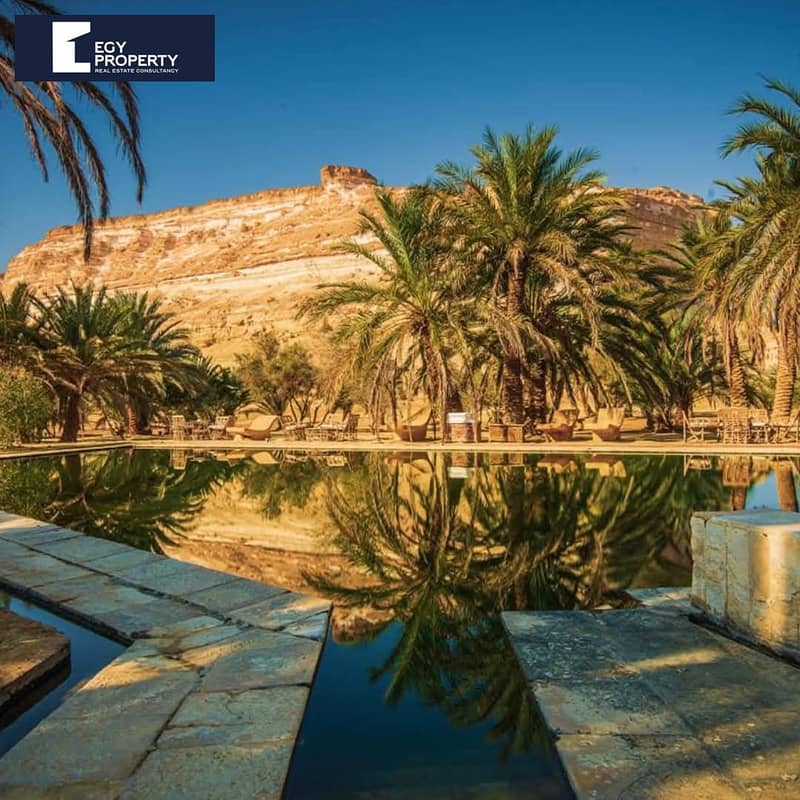 6 WhatsApp Image 2025-06-22 at 5.22. 11 PM. jpeg