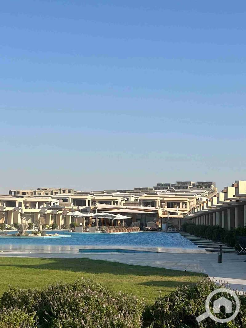 4 1000361198. jpg