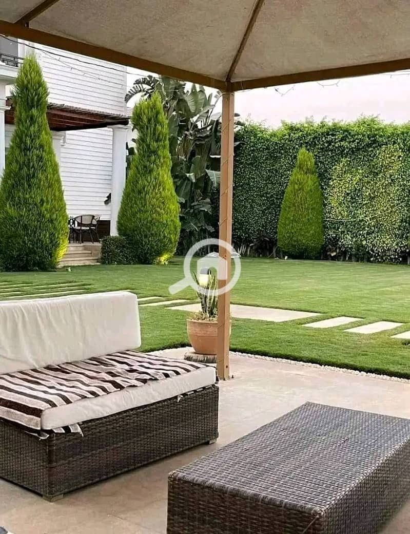 3 431137032_1755578158299267_1620351741653834550_n. jpg