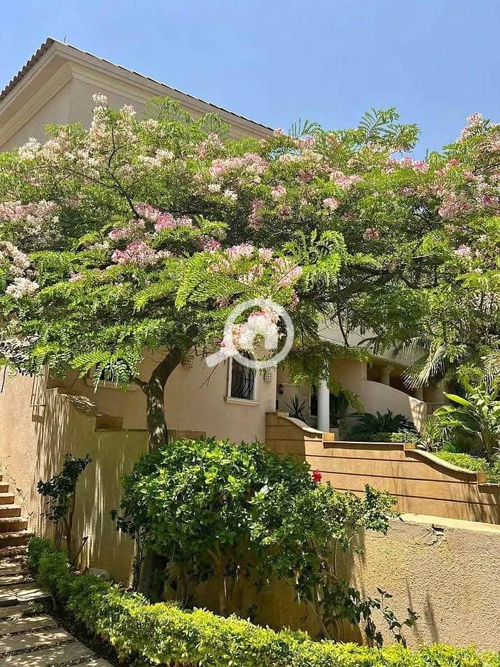 3 506686962_9994417794012038_1748675387468767072_n. jpg