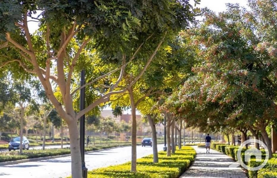 9 WhatsApp Image 2025-10-09 at 12.13. 17 PM (3). jpeg