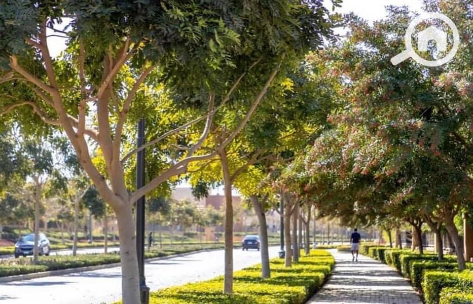 9 WhatsApp Image 2025-10-09 at 12.13. 17 PM (3). jpeg