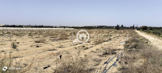 زراعي  للبيع في 6 أكتوبر، الجيزة - WhatsApp Image 2025-10-16 at 22.12. 05_402d74af. jpg