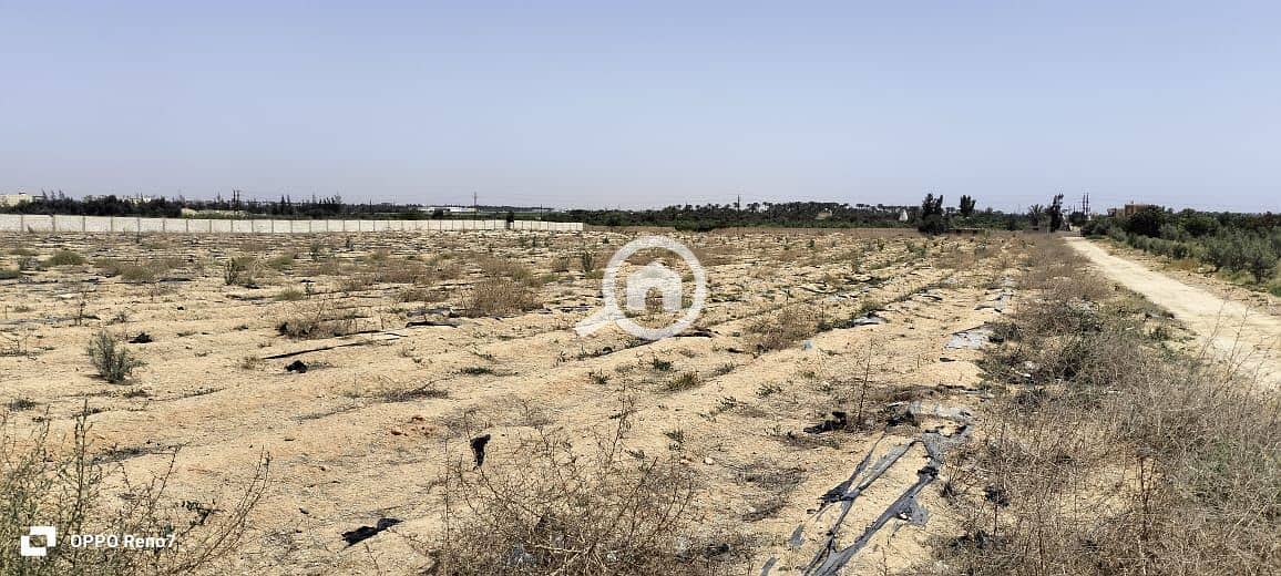 WhatsApp Image 2025-10-16 at 22.12. 05_402d74af. jpg WhatsApp Image 2025-10-16 at 22.12. 05_402d74af. jpg