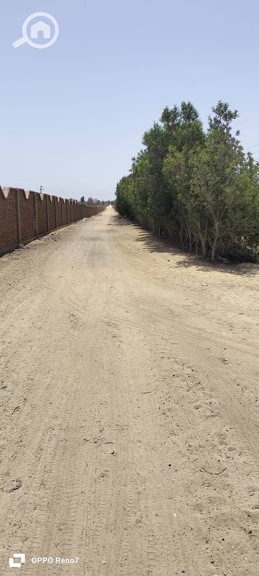 3 WhatsApp Image 2025-10-16 at 22.12. 06_5526d706. jpg