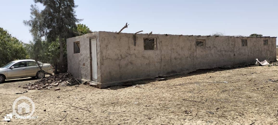 4 WhatsApp Image 2025-10-16 at 22.12. 08_c7d931f3. jpg