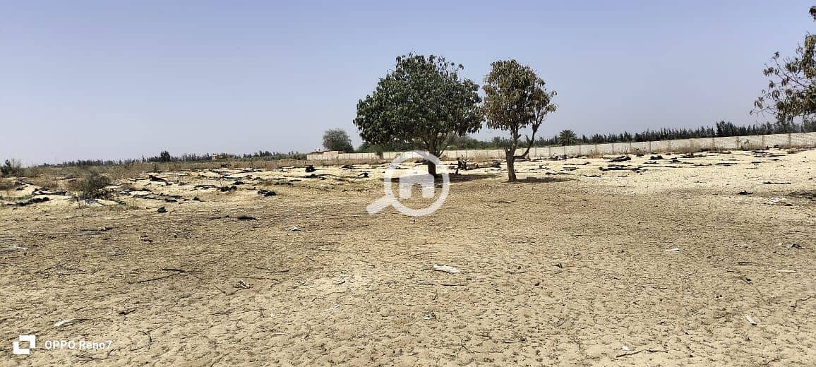 6 WhatsApp Image 2025-10-16 at 22.12. 09_f0ff7c05. jpg