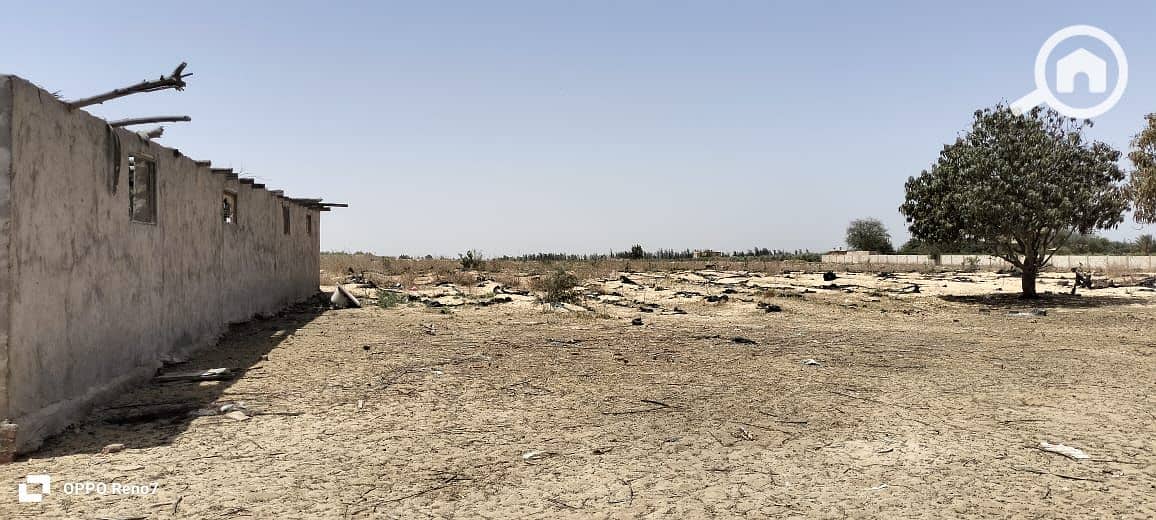 7 WhatsApp Image 2025-10-16 at 22.12. 10_280bff6c. jpg