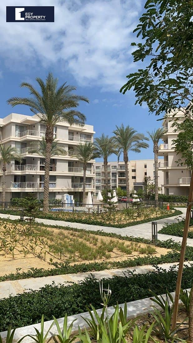 7 WhatsApp Image 2025-06-29 at 18.07. 47_7e195772. jpg