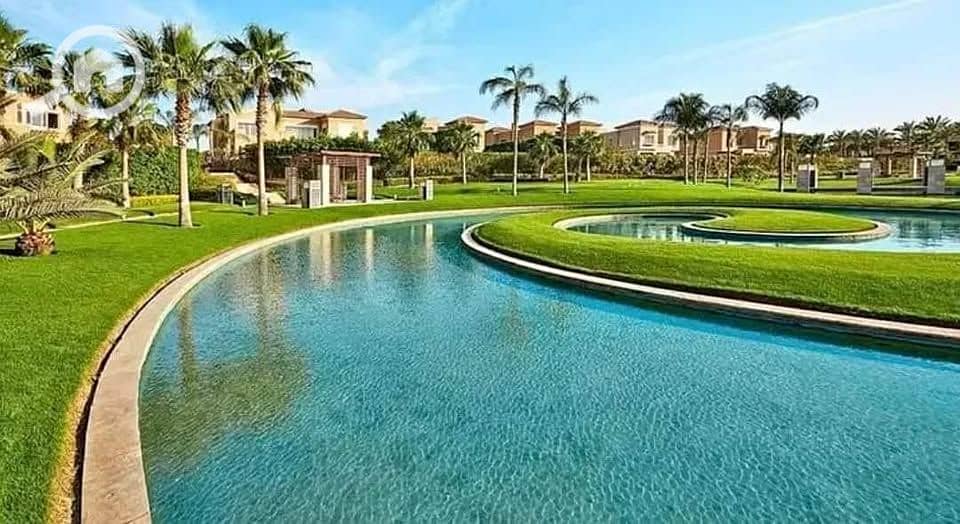 12 524777464_652509067133969_4813901766683980055_n. jpg