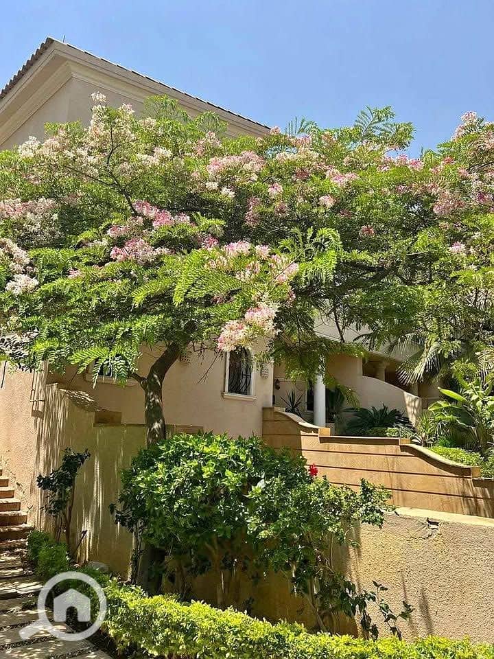 5 506686962_9994417794012038_1748675387468767072_n. jpg