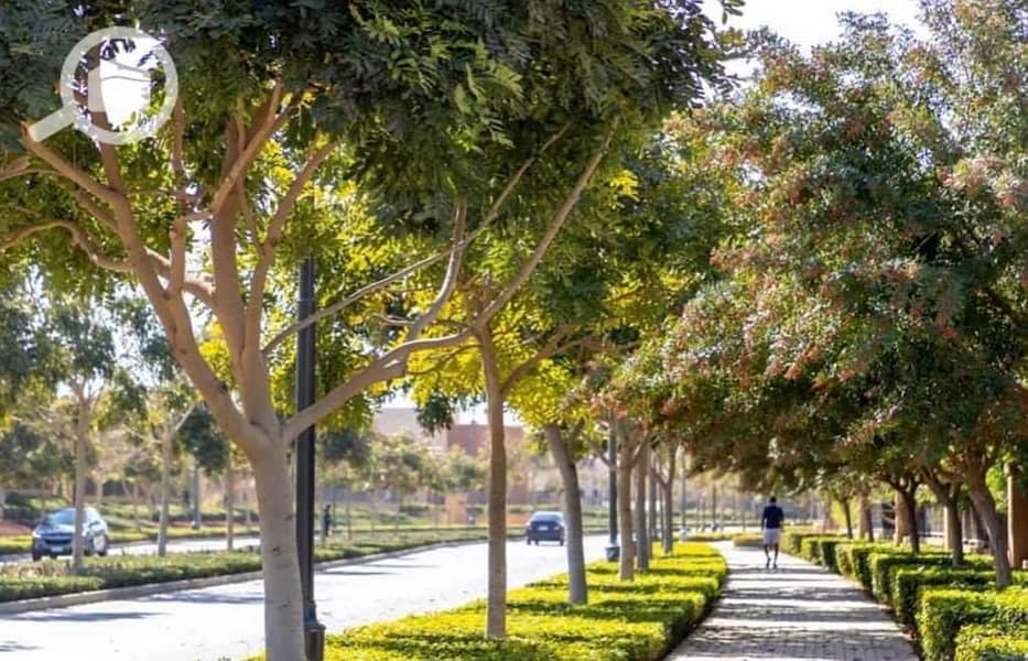 9 WhatsApp Image 2025-10-09 at 12.13. 17 PM (3). jpeg