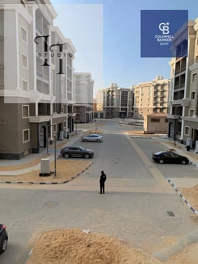 10 151625621-400x300. jpeg