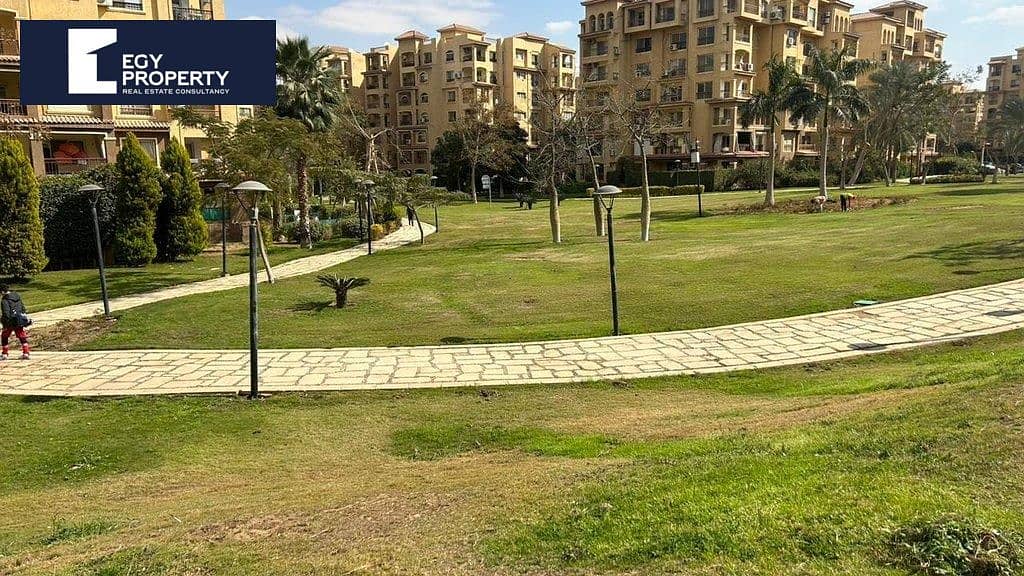 _files_3399d4df-e450-48dd-bb34-a77bd3e925a9. jpeg _files_3399d4df-e450-48dd-bb34-a77bd3e925a9. jpeg