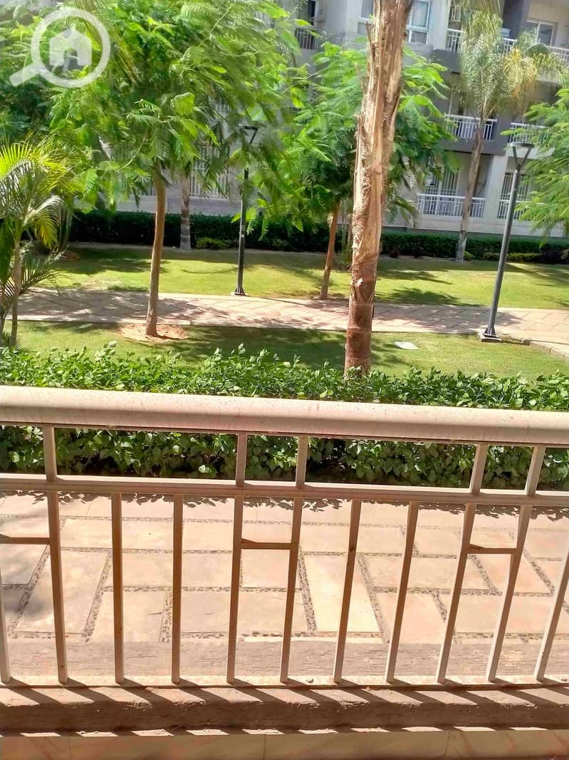 1000346654. jpg 1000346654. jpg