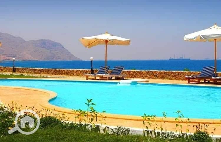 2 171430192_2946265928971831_7338531720463413184_n. jpg