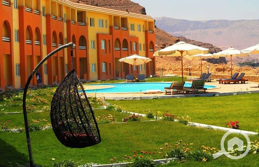 3 170198175_2944955362436221_7893043635055757559_n. jpg