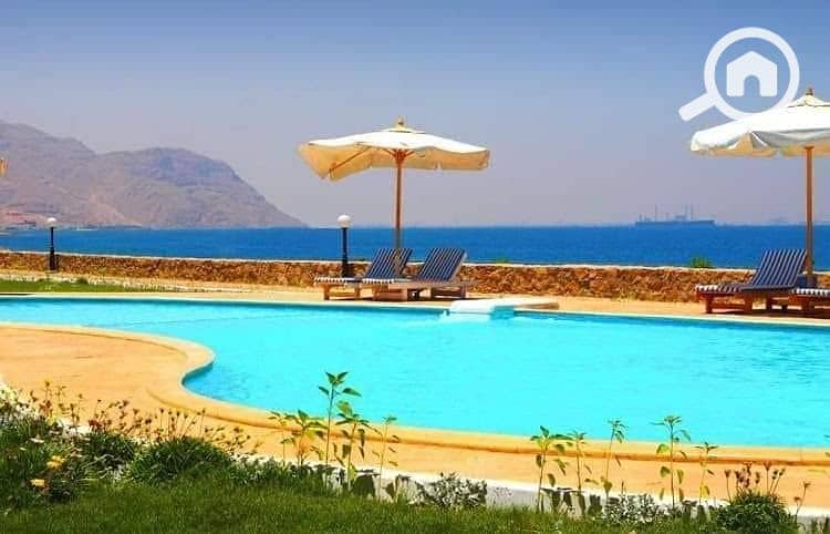 5 171430192_2946265928971831_7338531720463413184_n. jpg