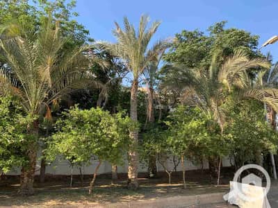فیلا 5 غرف نوم للبيع في القاهرة الجديدة، القاهرة - 1000068718. jpg