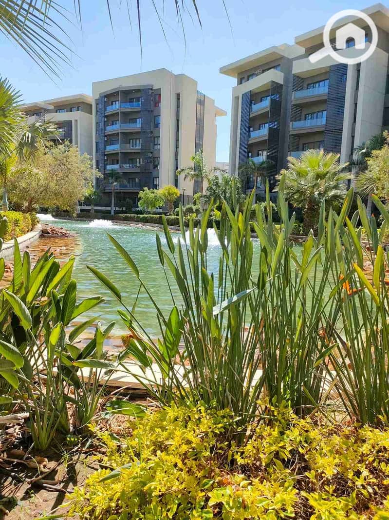 1000405956. jpg 1000405956. jpg