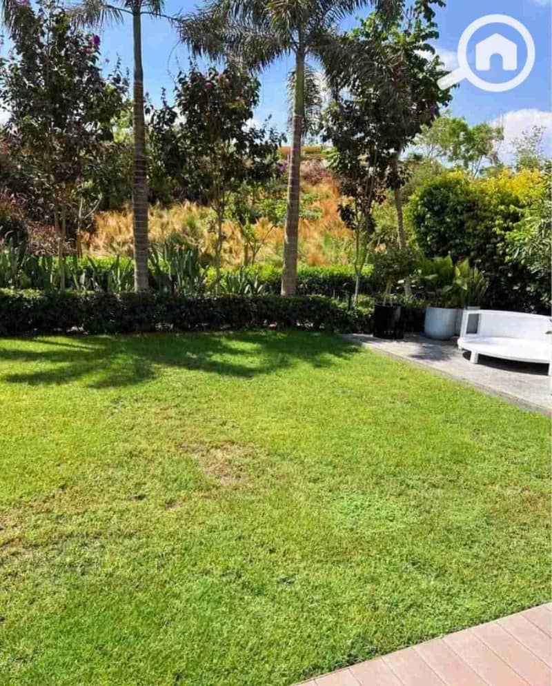 1000581809. jpg 1000581809. jpg