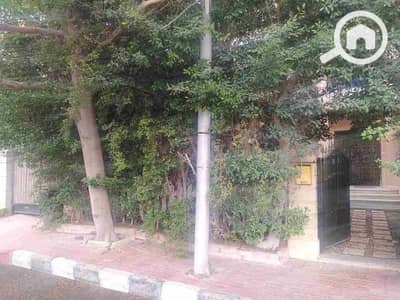 4 Bedroom Villa for Sale in New Cairo, Cairo - 1000350397. jpg