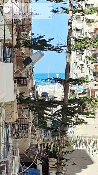 2 Bedroom Apartment for Sale in Nakheel, Alexandria - 1000310291. jpg