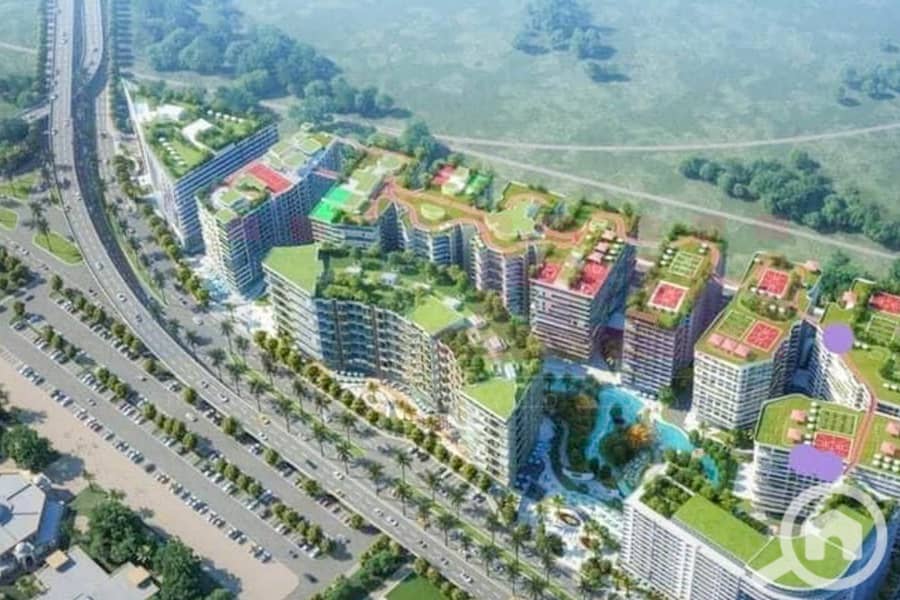 5 457193118_936641965164373_7697053552713594473_n. jpg