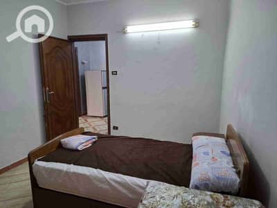 2 Bedroom Room for Rent in Al Manial, Cairo - 1000986818. jpg