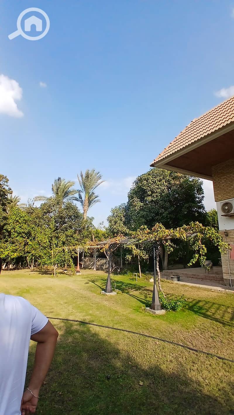 2 20251011_161552. jpg