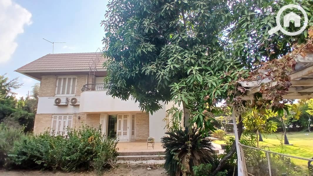 5 20251011_161840. jpg