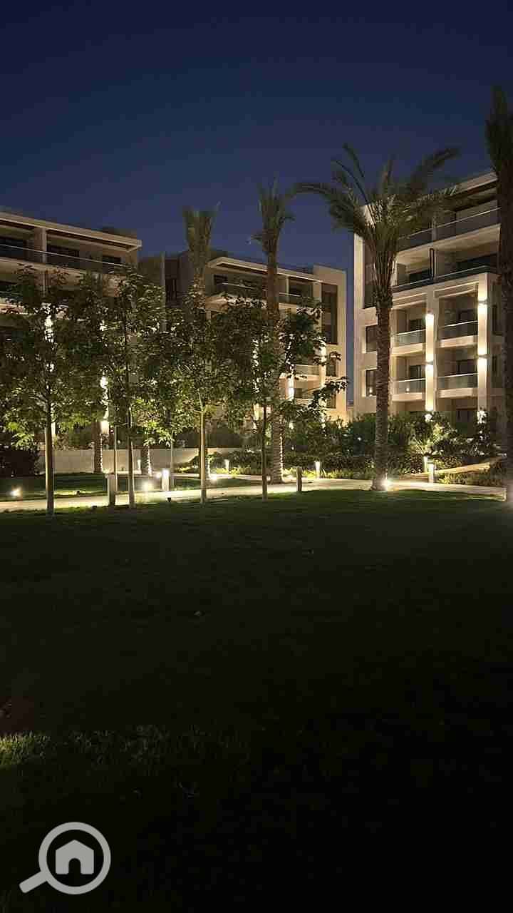 14 1000453169. jpg