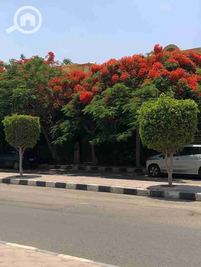 فیلا 4 غرف نوم للايجار في القاهرة الجديدة، القاهرة - 1000350411. jpg