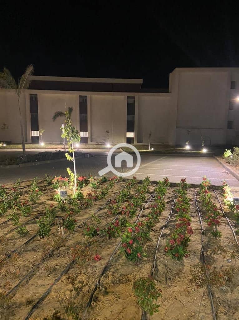 4 WhatsApp Image 2025-10-12 at 2.05. 00 PM (3). jpeg