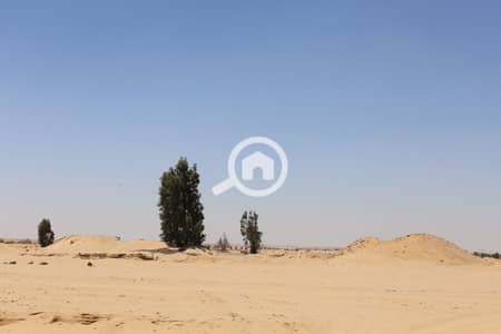 Residential Land for Sale in 6th of October, Giza - IMG_0229. JPG