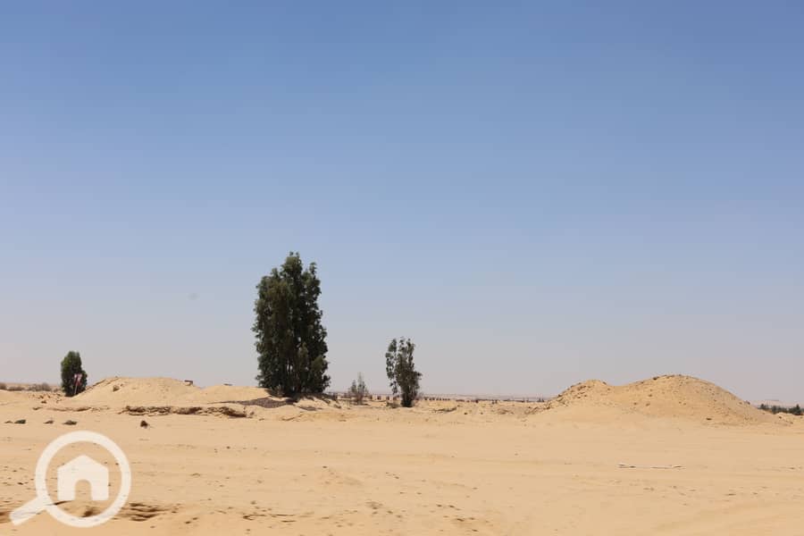 IMG_0229. JPG IMG_0229. JPG