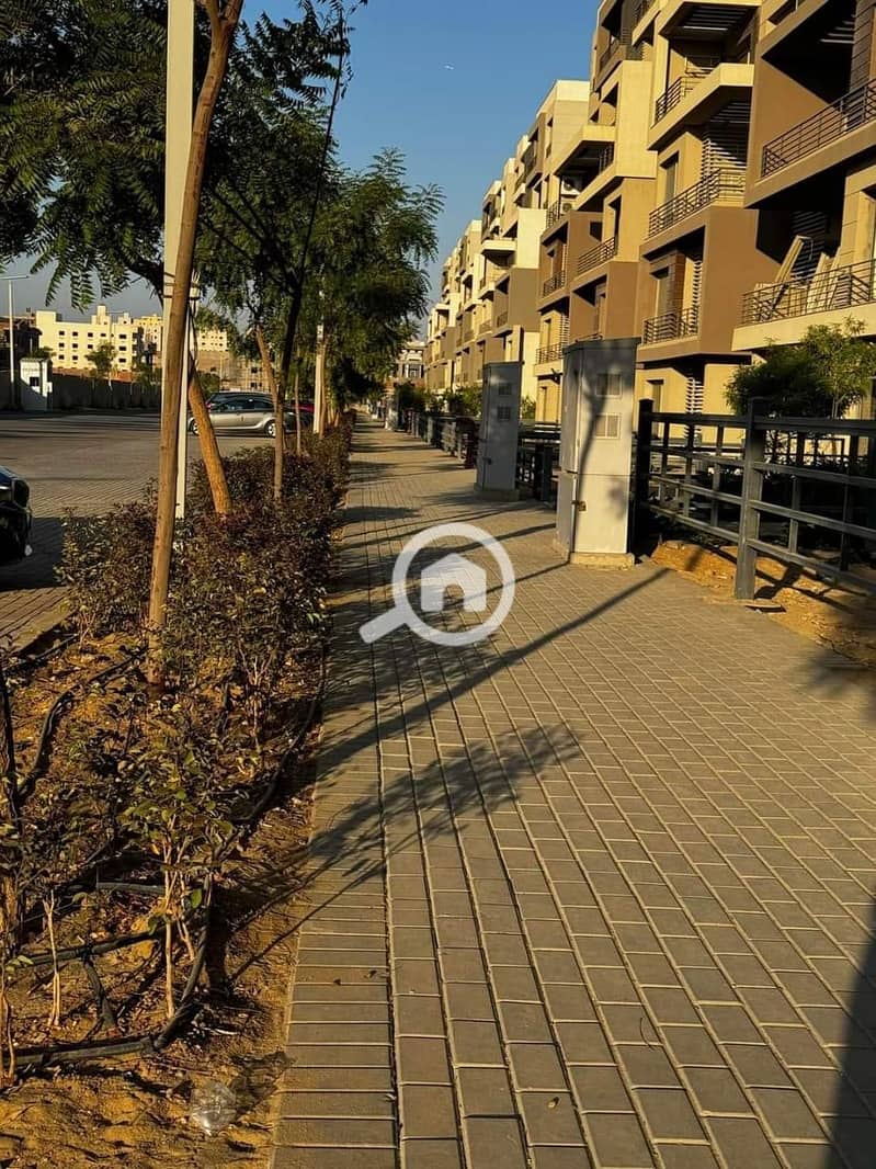 4 5f154fd1-5817-442f-b200-21207208aad4. jpg