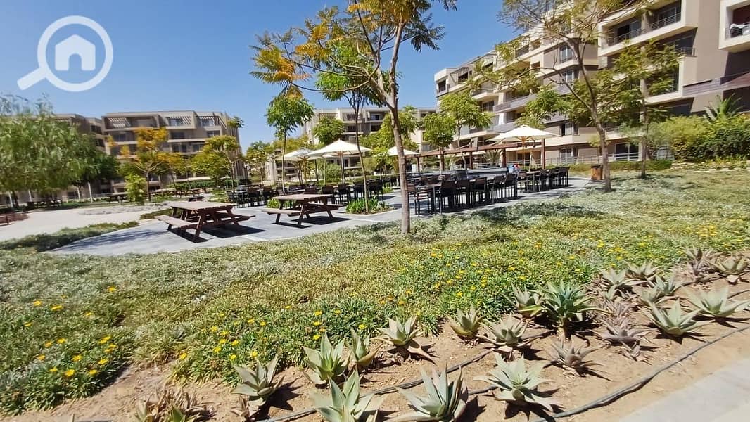 12 dfe8dbb5-f3de-4861-9d23-c248a7150a62. jpg