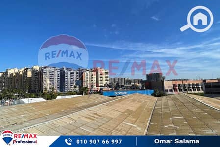 3 Bedroom Flat for Sale in Smoha, Alexandria - WhatsApp Image 2024-11-16 at 2.56. 36 PM (3). jpg