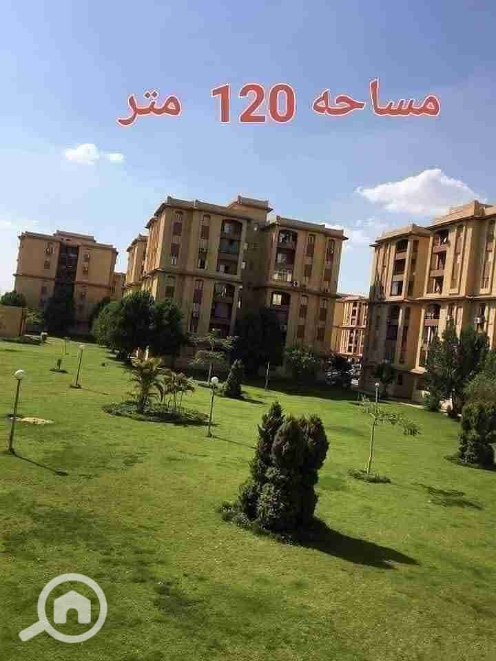 4 1000424337. jpg