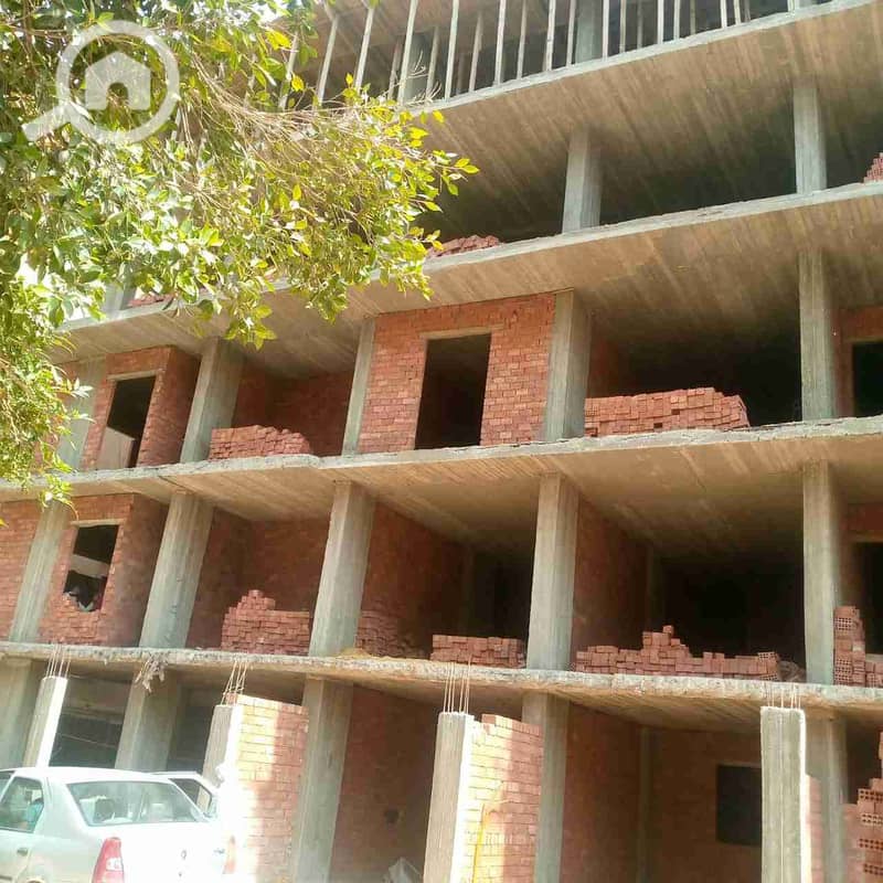 IMG_20251021_130832_231. jpg