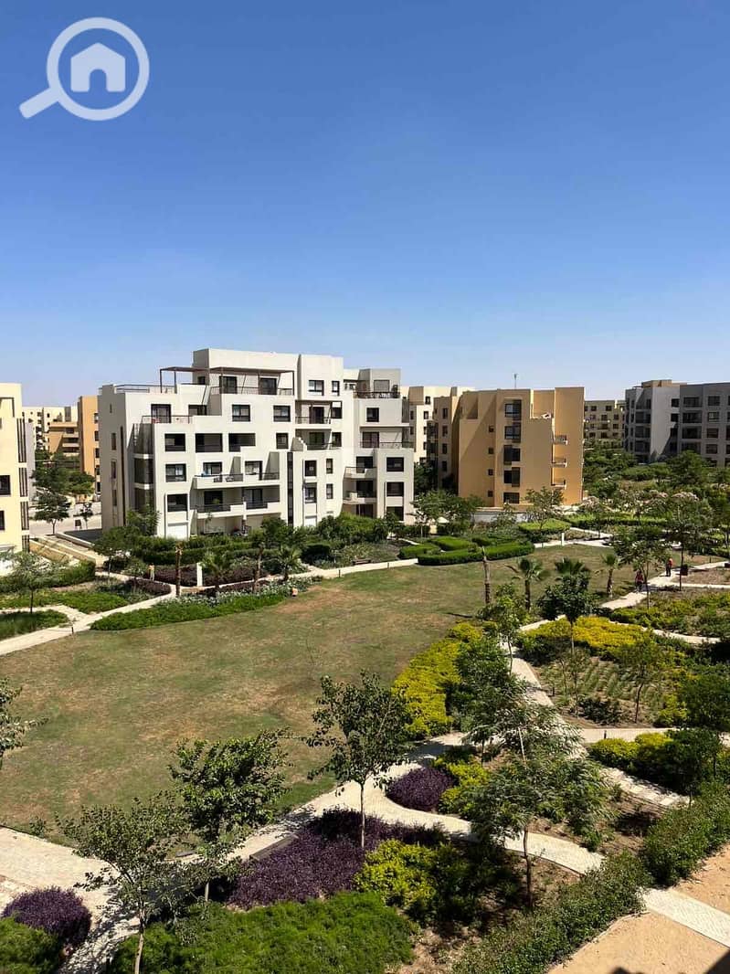 2 fb339f7a-73fc-4dab-97b9-7961a2df7fb3. jpg