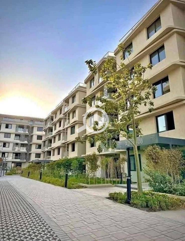 9 559837971_122156525330764402_3718157551951085623_n. jpg