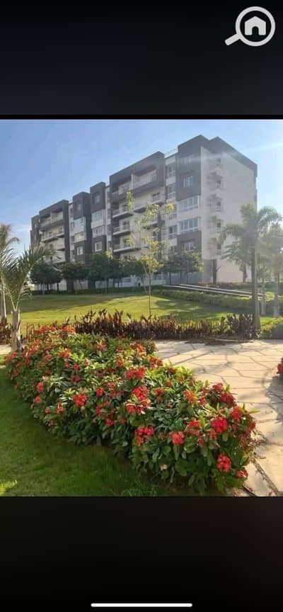 3 Bedroom Flat for Rent in Madinaty, Cairo - IMG_7572. png