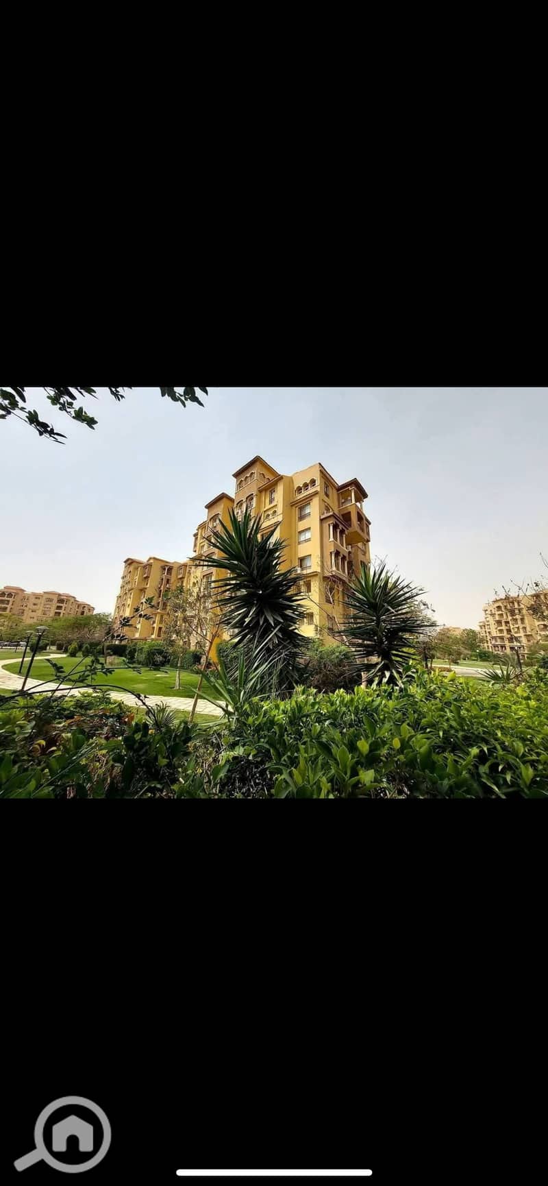 IMG_7079. png IMG_7079. png