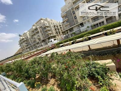 3 Bedroom Apartment for Sale in New Cairo, Cairo - WhatsApp Image 2025-10-13 at 07.10. 34. jpeg