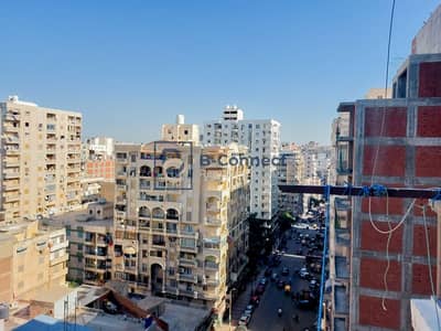 2 Bedroom Apartment for Rent in Victoria, Alexandria - IMG-20251018-WA0247. jpg