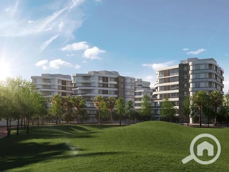 4 43391686560322. jpg