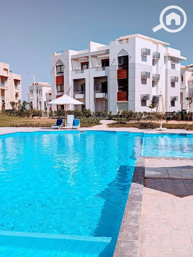 4 WhatsApp Image 2025-09-08 at 12.09. 43_cf9490e9. jpg